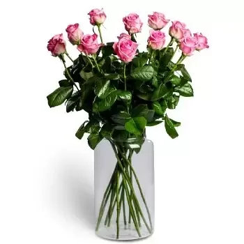 布拉索夫 花- 漂亮的粉红色 花 交付