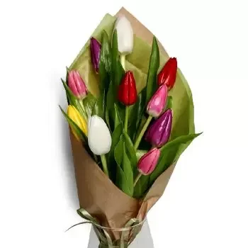 بائع زهور براتيسلافا- ابتسامة ملونة زهرة التسليم