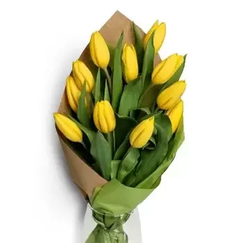 Plavecky Styrtok bunga- Kesegaran Bunga Pengiriman