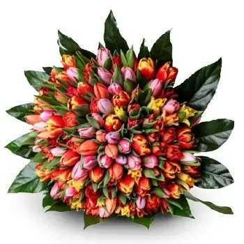 レカ 花- カラフルなチューリップの豪華な花束 花 配信