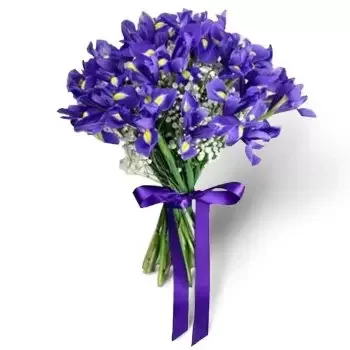 Modra Blumen Florist- Violette Brise Blumen Lieferung
