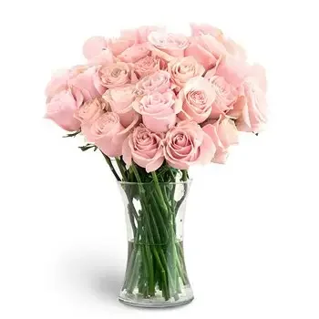Al-Yalayis 3 flowers  -  Baby Choice Flower Delivery