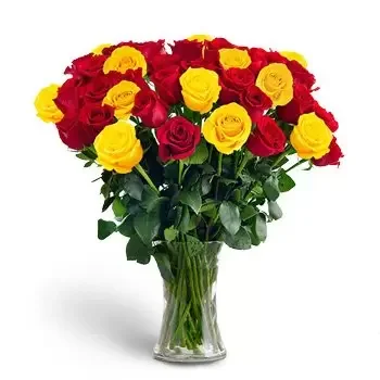 flores Bani Yas City floristeria -  Violeta Ramos de  con entrega a domicilio