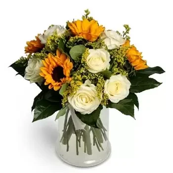 Pezinok City flowers  -  Sunflowers and White roses Bunch Delivery