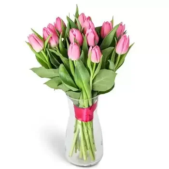 بائع زهور براتيسلافا- باقة الحلم الوردي زهرة التسليم