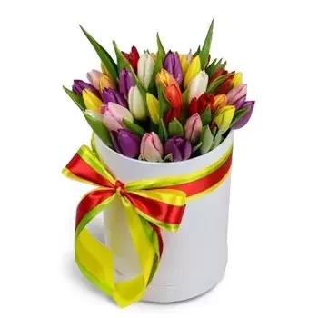 بائع زهور فينوسادي- مزاج سعيد زهرة التسليم