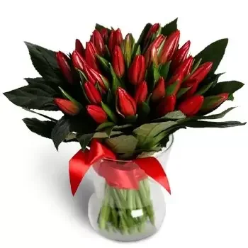 Jablonove kwiaty- Bukiet VINCA czerwony Kwiat Dostawy