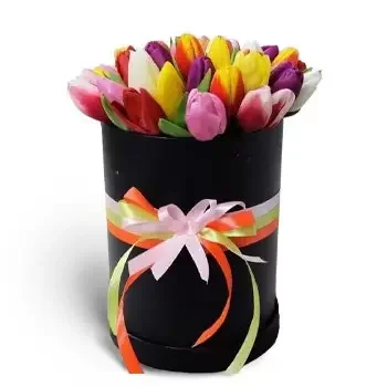 Bratislava kvety- Čierna krabička na tulipány Kvet Doručenie