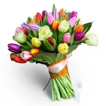بائع زهور Hubice- زهور فنية زهرة التسليم