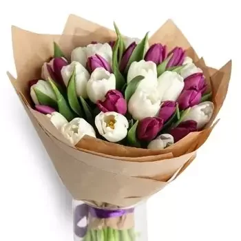 Σένκβιτς λουλούδια- Κομψή προσοχή Λουλούδι Παράδοση