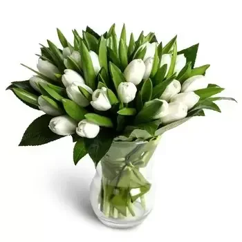 Malacky City λουλούδια- Τρυφερές λευκές τουλίπες Λουλούδι Παράδοση