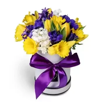 Μπρατισλάβα λουλούδια- Χαρούμενος Λουλούδι Παράδοση