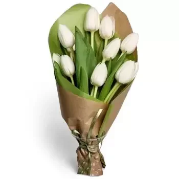 بائع زهور Hubice- لحظات ثمينة زهرة التسليم