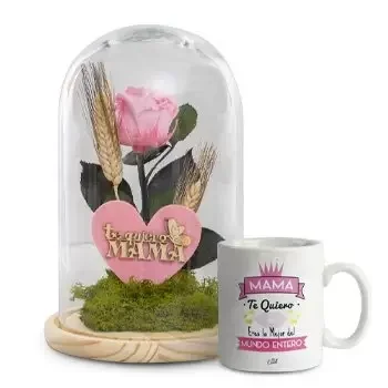 מלאגה חנות פרחים באינטרנט - Pink Glee זר פרחים