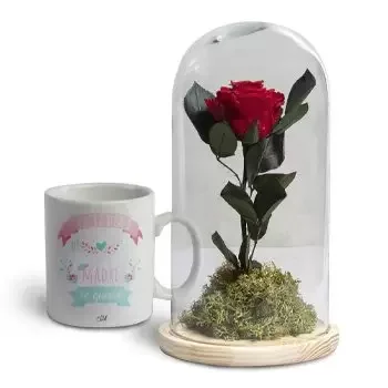 flores de Jerez de la Frontera- sentimentos maravilhosos Flor Entrega