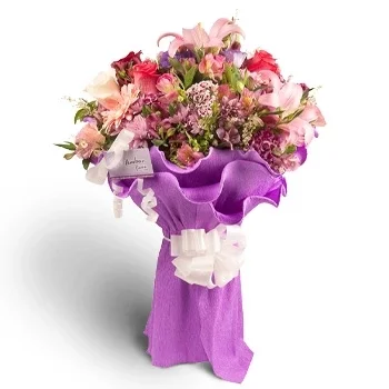 Basavilbaso flori- Buchet violet123 Floare Livrare
