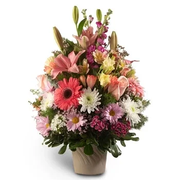 Albarellos květiny- barvy Základ Květ Dodávka