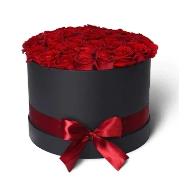 Alejandra květiny- BLACK BOX 11229 Květ Dodávka