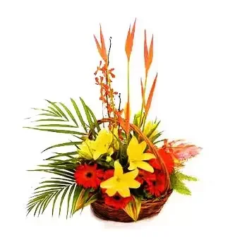 トロピカルメタルダム 花- 熱帯の美しさのバスケット 花 配信