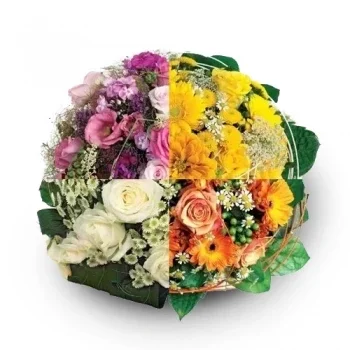 fiorista fiori di De Noord- Draceane Delight| ||8208 Fiore Consegna