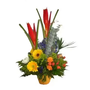 بائع زهور جزيرة جروس- كرنفال المدارية زهرة التسليم