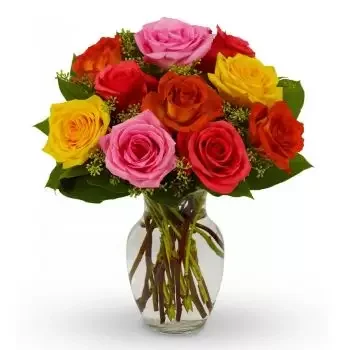 Curnovec bunga- Letupan Warna Bunga Penghantaran