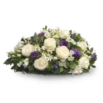 Ολλανδία λουλούδια- Biedermeier λευκό/μωβ