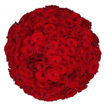 Holland flowers  -  100 red roses via the Florist Flower Bouquet/Arrangement