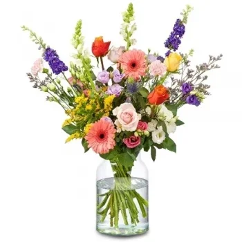 בונדה-נורד פרחים- זר שדה צבעוני פרח משלוח