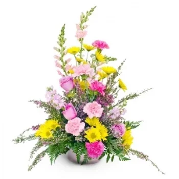 Αμδούν λουλούδια- Τρελός Λουλούδι Παράδοση