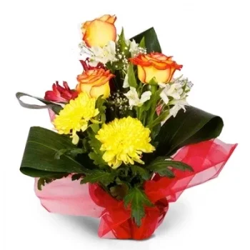 Gabes Ouest λουλούδια- ήλιος Λουλούδι Παράδοση