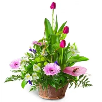 Marrakech Online kukkakauppias - Lähde Kimppu