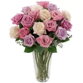 דוברופיליה פרחים- Dreamy Delight פרח משלוח