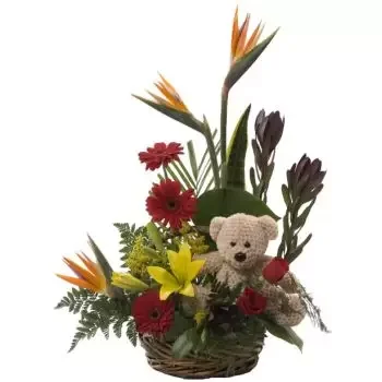 St. Lucia Online Blumenhändler - Tropische Bear Basket Blumenstrauß