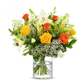 بائع زهور أمستردام- لحظات سحرية زهرة التسليم