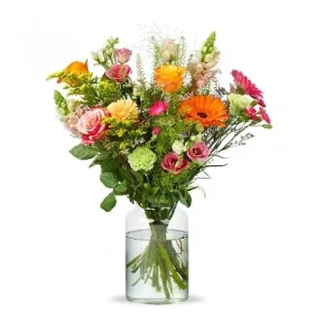 ดอกไม้ อัมสเตอร์ดัม - เชียร์ ดอกไม้ จัด ส่ง