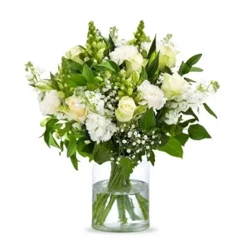 flores de Groningen- branco oriental Flor Entrega