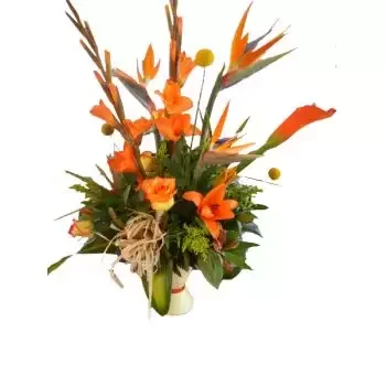 St. Lucia kwiaty- Pomarańczowy radość Kwiat Dostawy