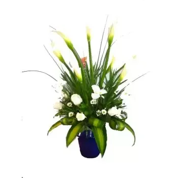 St. Lucia Blumen Florist- Weiße Pracht Blumen Lieferung