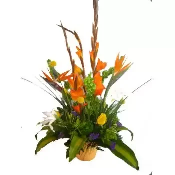 אורנג'סטאד מערב פרחים- הפתעה טרופי פרח משלוח