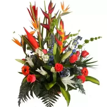 Sint Maarten kvety- Tropické roztrhnutie Kvet Doručenie