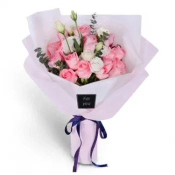 דארי וורן פרחים- פיות פיק פרח משלוח
