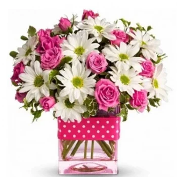 קאם ראנש פרחים- אנרגיות טובות פרח משלוח