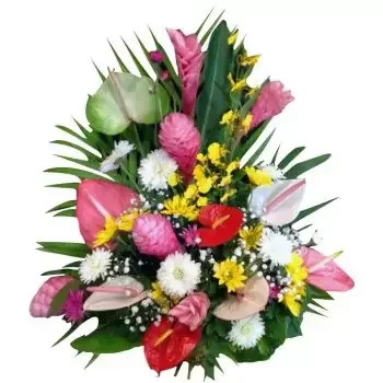 Σαντιάγκο λουλούδια- Εξωτικός Λουλούδι Παράδοση