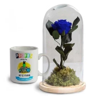 Portlligat flowers  -  Memory Flower Delivery