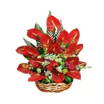 St. Lucia Blumen Florist- Glück Blumen Lieferung