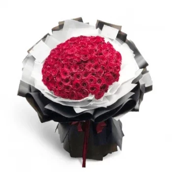 דארי וורן פרחים- אהובי פרח משלוח