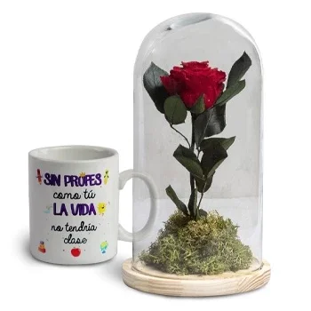 Βαλένσινα Ντε Λα Κονσεπσιόν λουλούδια- Μοναδική Λεπτομέρεια Λουλούδι Παράδοση
