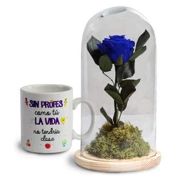 flores de El Burgo de Ebro- Gratidão Flor Entrega