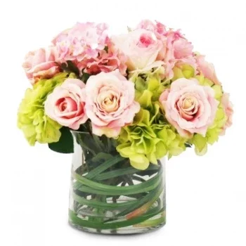Νάινχ Βάν λουλούδια- Κομψή Ομορφιά Λουλούδι Παράδοση